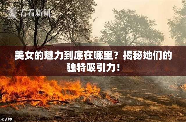 美女的魅力到底在哪里？揭秘她们的独特吸引力！