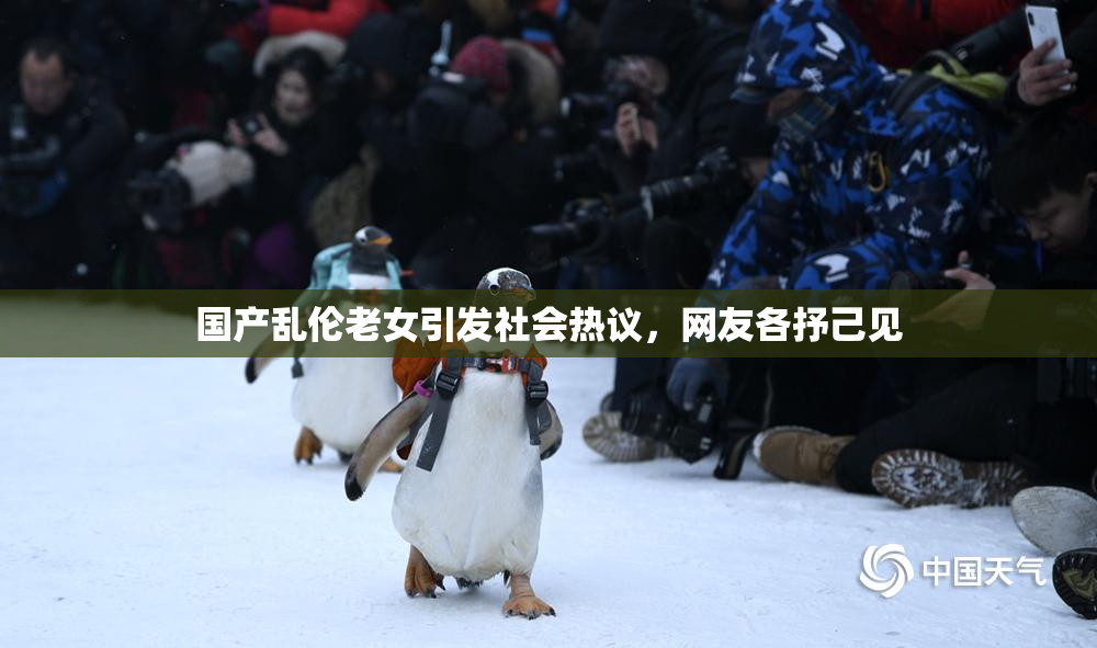 国产乱伦老女引发社会热议，网友各抒己见