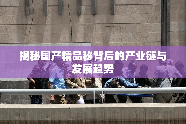 揭秘国产精品秘背后的产业链与发展趋势