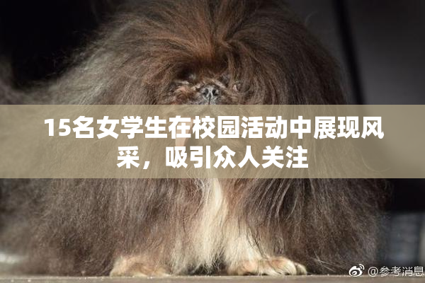 15名女学生在校园活动中展现风采，吸引众人关注