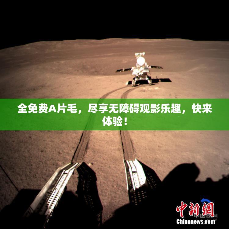 全免费A片毛，尽享无障碍观影乐趣，快来体验！