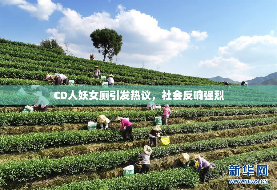CD人妖女厕引发热议，社会反响强烈