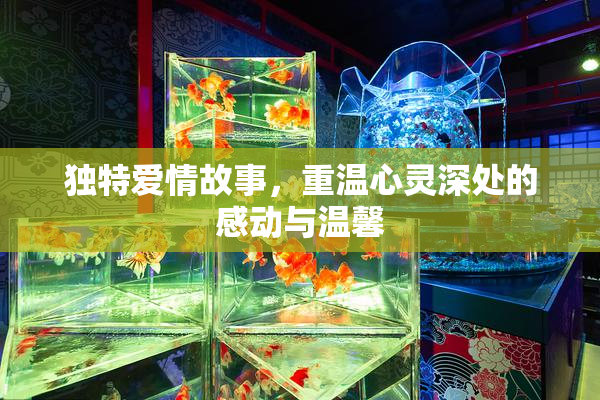 独特爱情故事，重温心灵深处的感动与温馨