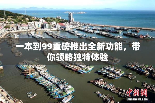 一本到99重磅推出全新功能，带你领略独特体验