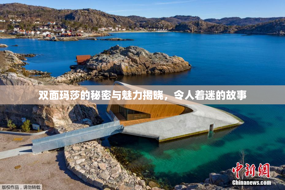 双面玛莎的秘密与魅力揭晓，令人着迷的故事