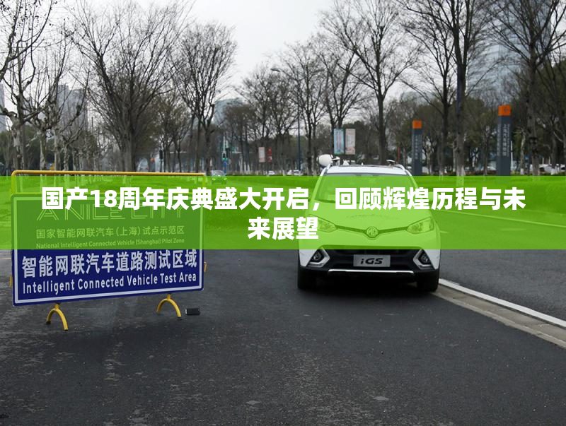 国产18周年庆典盛大开启，回顾辉煌历程与未来展望