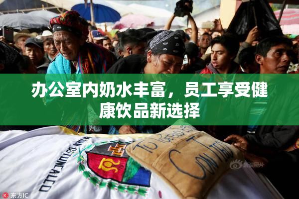 办公室内奶水丰富，员工享受健康饮品新选择