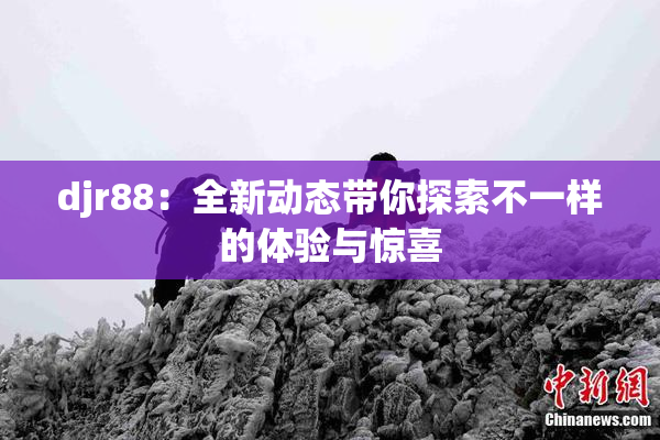 djr88：全新动态带你探索不一样的体验与惊喜
