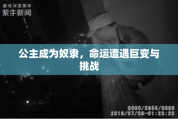 公主成为奴隶，命运遭遇巨变与挑战