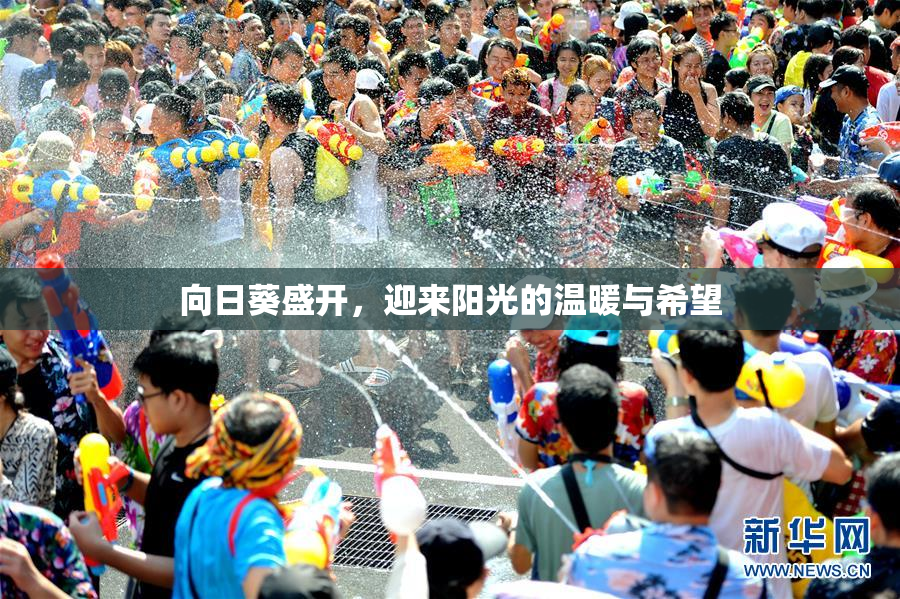 向日葵盛开，迎来阳光的温暖与希望