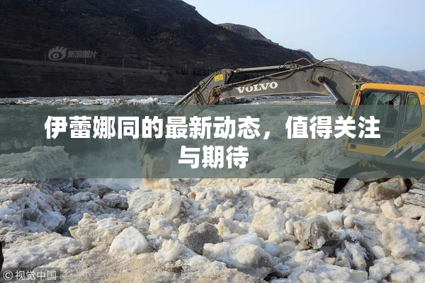 伊蕾娜同的最新动态，值得关注与期待