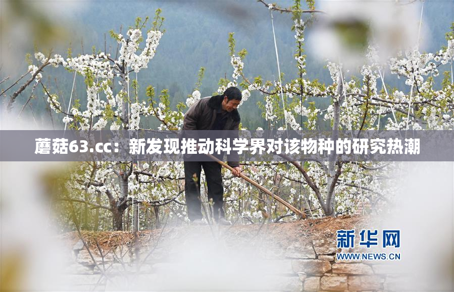 蘑菇63.㏄：新发现推动科学界对该物种的研究热潮