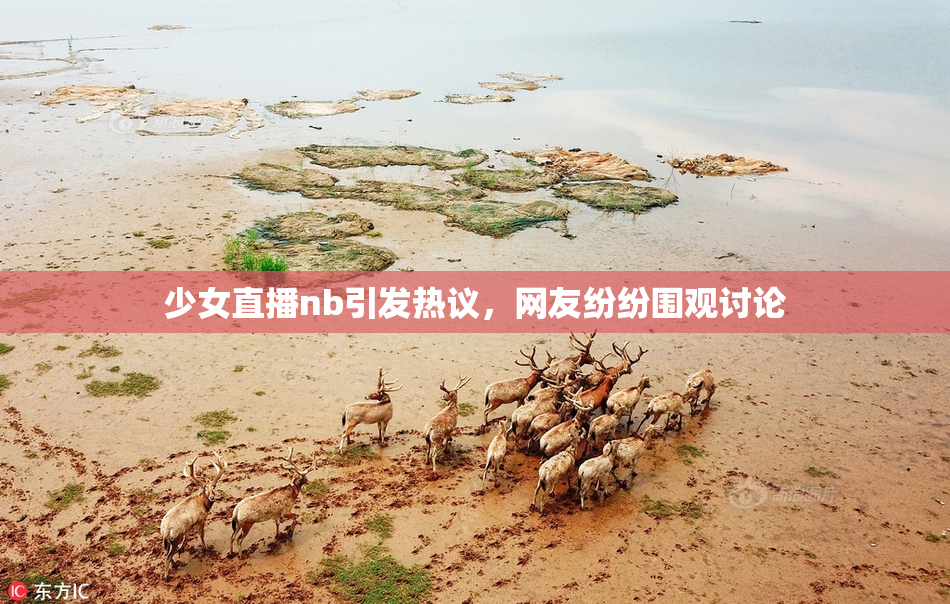 少女直播nb引发热议，网友纷纷围观讨论
