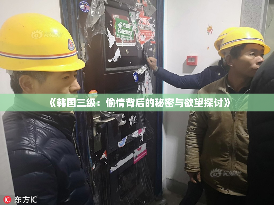 《韩国三级：偷情背后的秘密与欲望探讨》