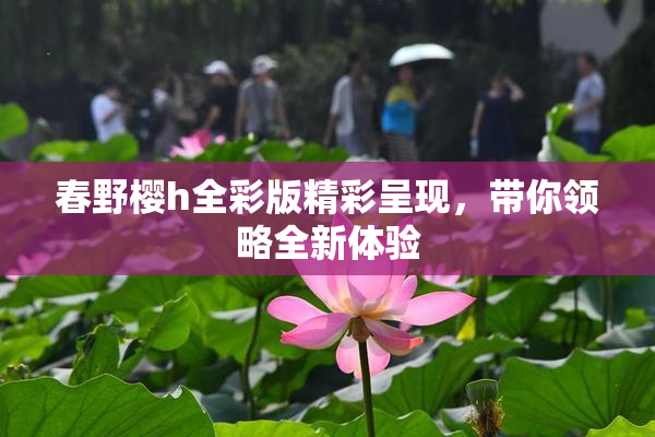 春野樱h全彩版精彩呈现，带你领略全新体验