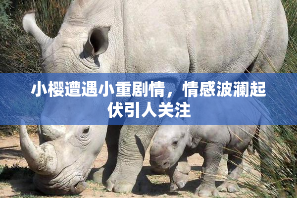 小樱遭遇小重剧情，情感波澜起伏引人关注