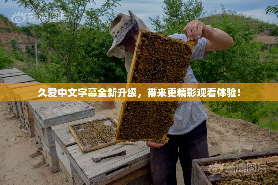 久爱中文字幕全新升级，带来更精彩观看体验！