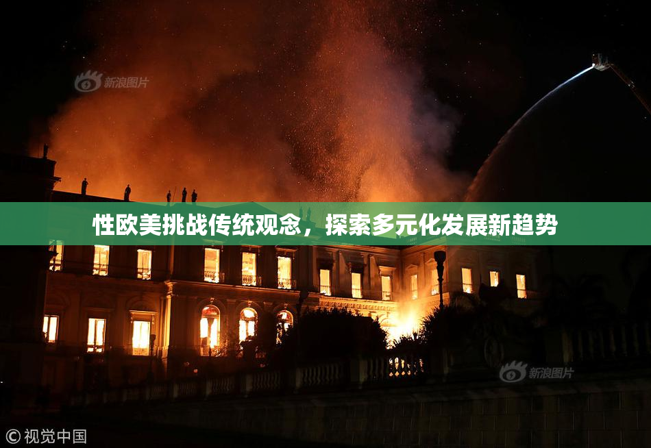 性欧美挑战传统观念，探索多元化发展新趋势