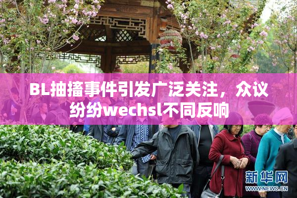 BL抽搐事件引发广泛关注，众议纷纷wechsl不同反响