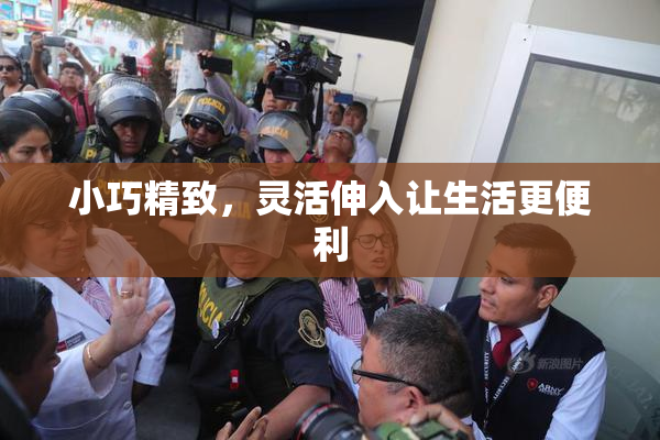 小巧精致，灵活伸入让生活更便利