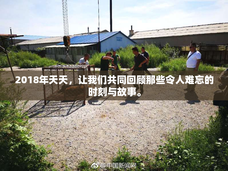 2018年天天，让我们共同回顾那些令人难忘的时刻与故事。