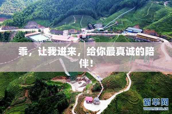 乖，让我进来，给你最真诚的陪伴！