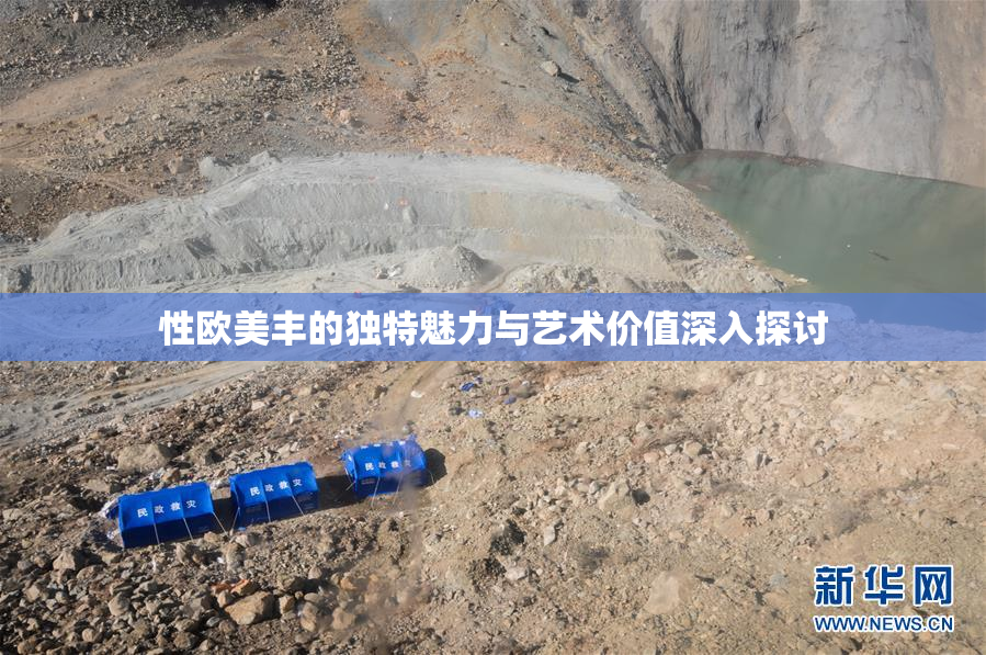 性欧美丰的独特魅力与艺术价值深入探讨
