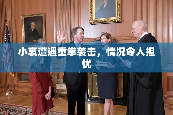 小哀遭遇重拳袭击，情况令人担忧