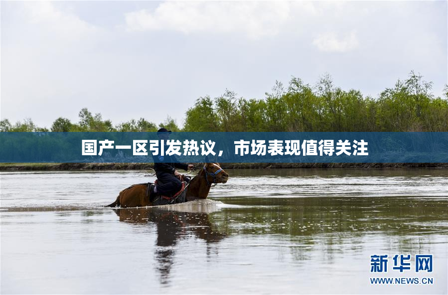国产一区引发热议，市场表现值得关注