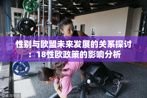 性别与欧盟未来发展的关系探讨：18性欧政策的影响分析