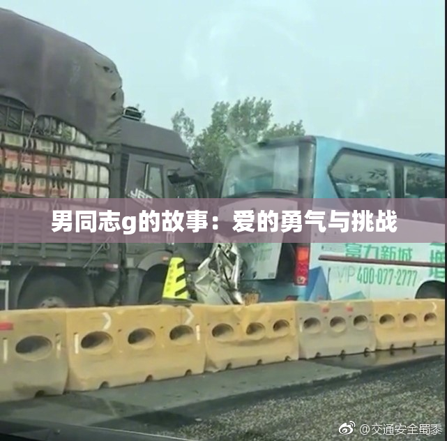 男同志g的故事：爱的勇气与挑战