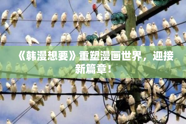 《韩漫想要》重塑漫画世界，迎接新篇章！