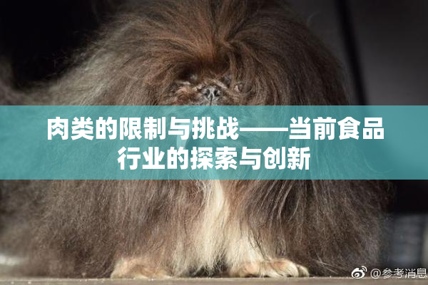 肉类的限制与挑战——当前食品行业的探索与创新