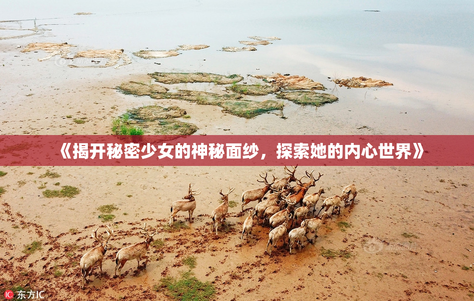 《揭开秘密少女的神秘面纱，探索她的内心世界》