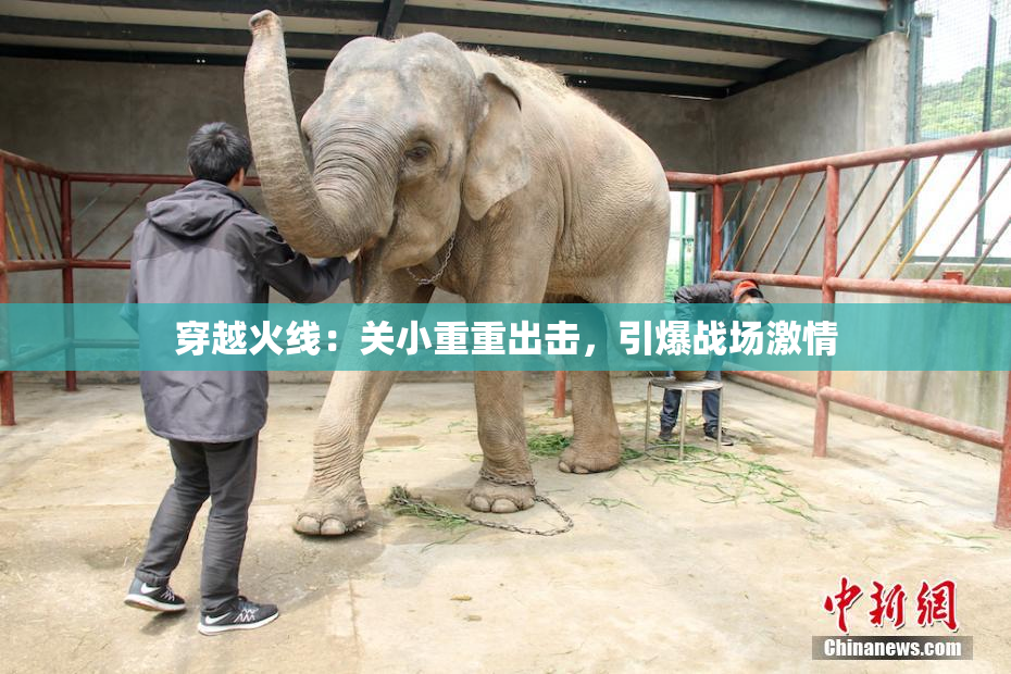穿越火线：关小重重出击，引爆战场激情