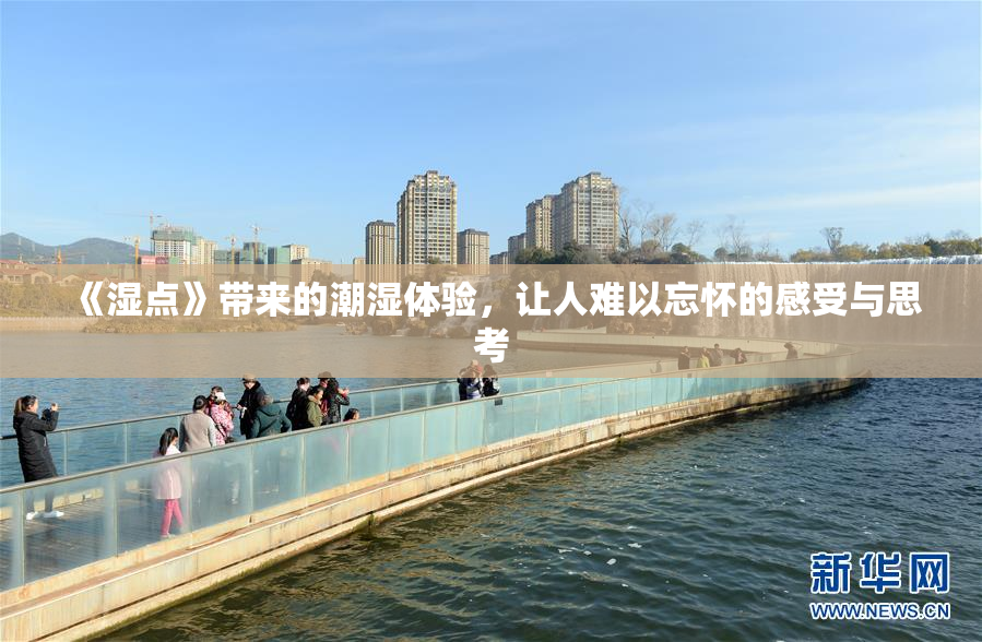 《湿点》带来的潮湿体验，让人难以忘怀的感受与思考