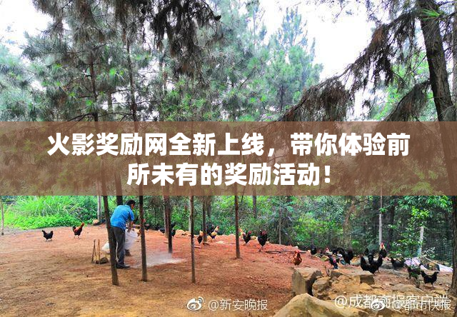火影奖励网全新上线，带你体验前所未有的奖励活动！