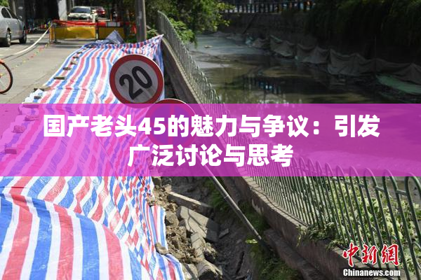国产老头45的魅力与争议：引发广泛讨论与思考