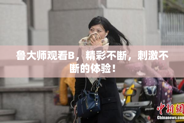 鲁大师观看B，精彩不断，刺激不断的体验！