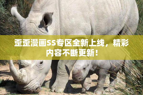 歪歪漫画SS专区全新上线，精彩内容不断更新！