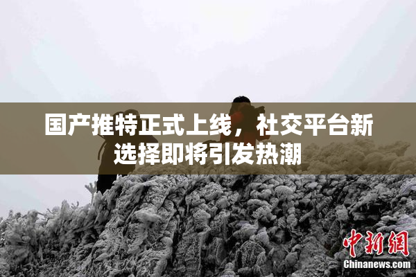 国产推特正式上线，社交平台新选择即将引发热潮