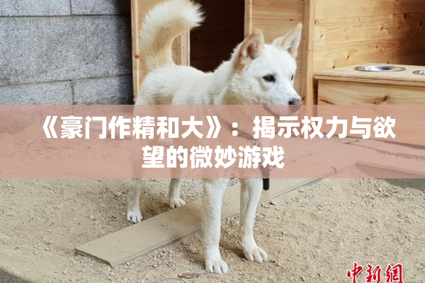 《豪门作精和大》：揭示权力与欲望的微妙游戏