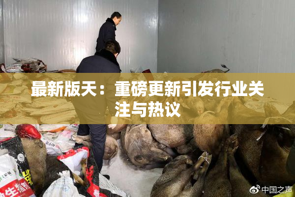 最新版天：重磅更新引发行业关注与热议