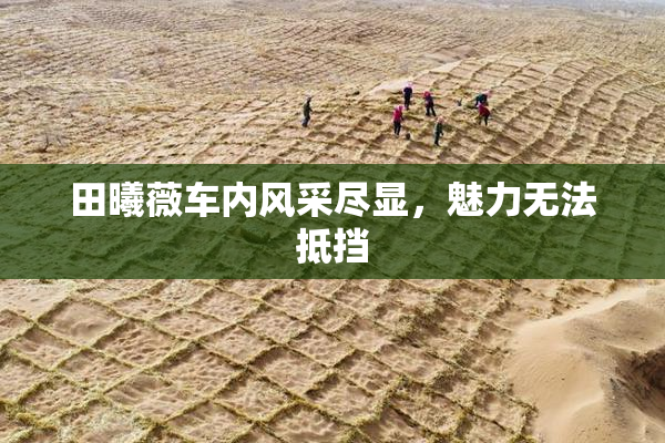 田曦薇车内风采尽显，魅力无法抵挡