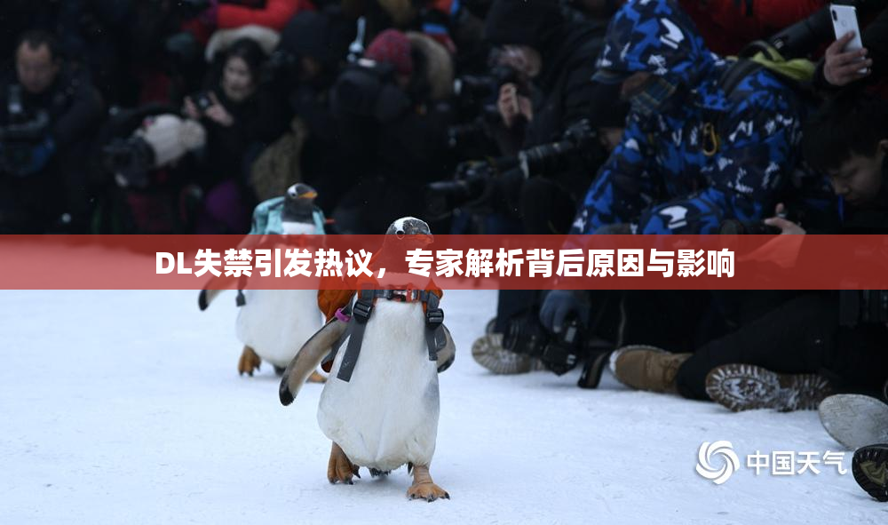 DL失禁引发热议，专家解析背后原因与影响