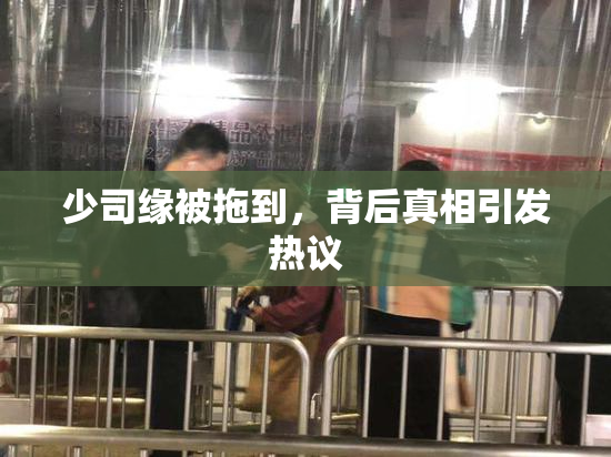 少司缘被拖到，背后真相引发热议