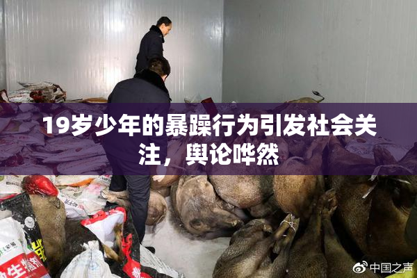 19岁少年的暴躁行为引发社会关注，舆论哗然