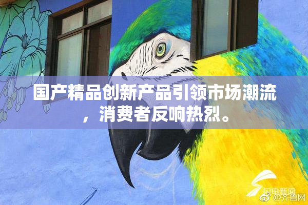 国产精品创新产品引领市场潮流，消费者反响热烈。