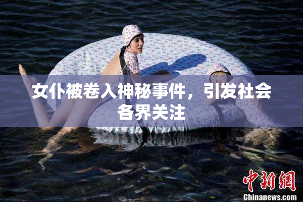 女仆被卷入神秘事件，引发社会各界关注