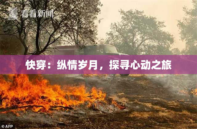 快穿：纵情岁月，探寻心动之旅